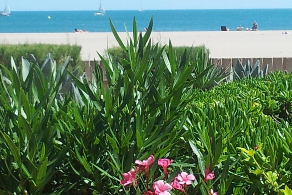 Cros Mer Et Piscine Saint-Pierre-la-Mer (Aude) Exterior foto
